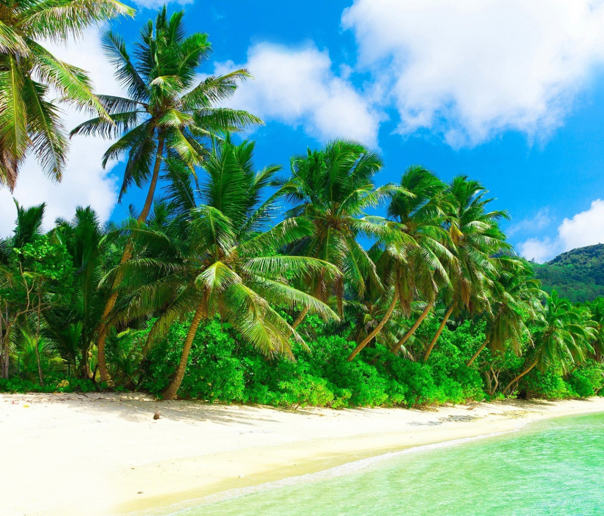 Fondo de pantalla Tropical Landscape and Lagoon HD 1200x1024