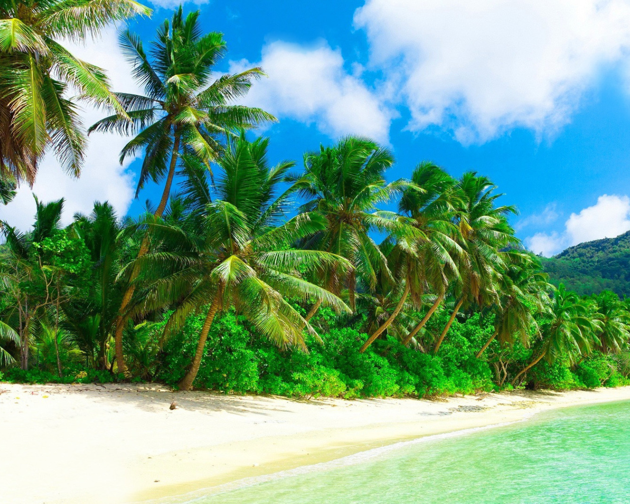 Das Tropical Landscape and Lagoon HD Wallpaper 1280x1024