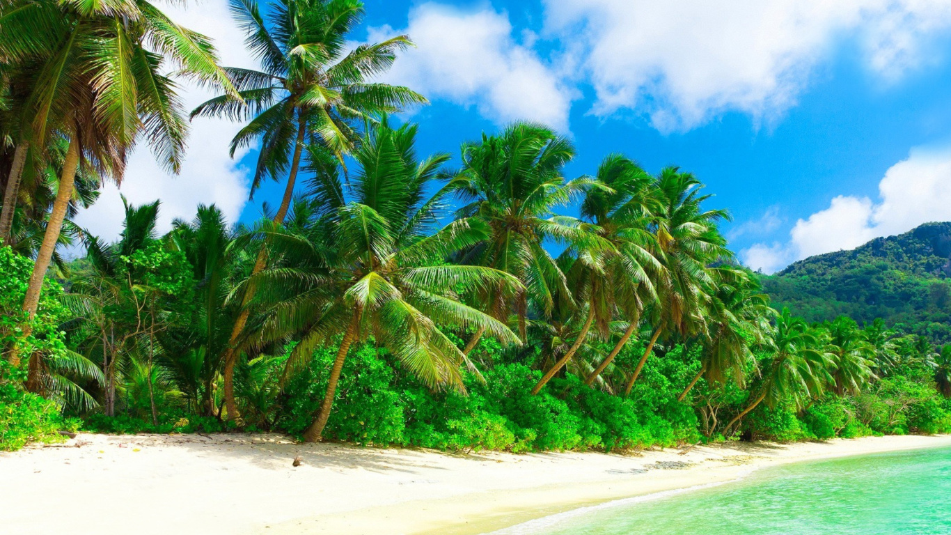 Fondo de pantalla Tropical Landscape and Lagoon HD 1366x768