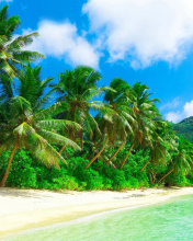 Tropical Landscape and Lagoon HD wallpaper 176x220