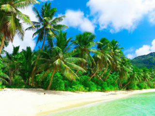 Fondo de pantalla Tropical Landscape and Lagoon HD 320x240