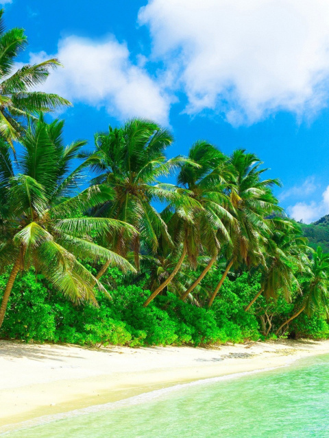 Sfondi Tropical Landscape and Lagoon HD 480x640