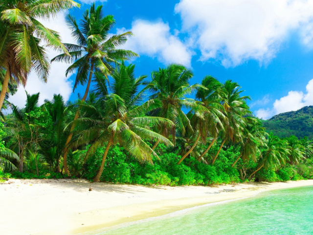 Tropical Landscape and Lagoon HD wallpaper 640x480