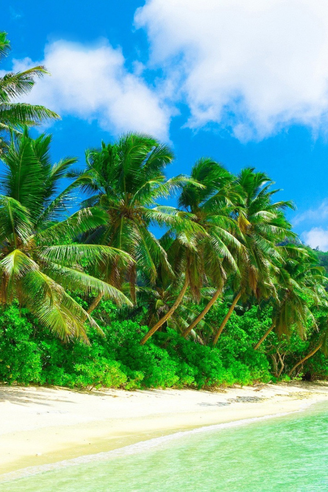 Tropical Landscape and Lagoon HD wallpaper 640x960