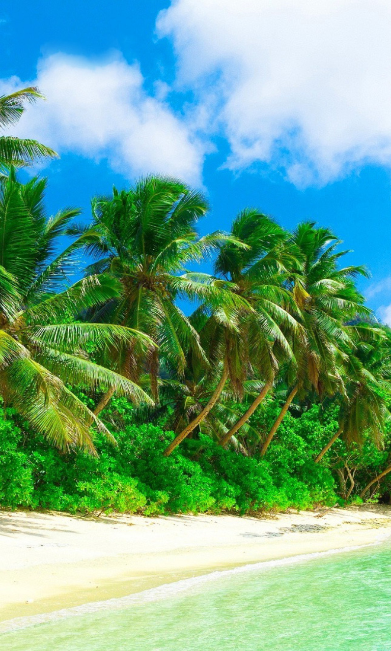 Screenshot №1 pro téma Tropical Landscape and Lagoon HD 768x1280