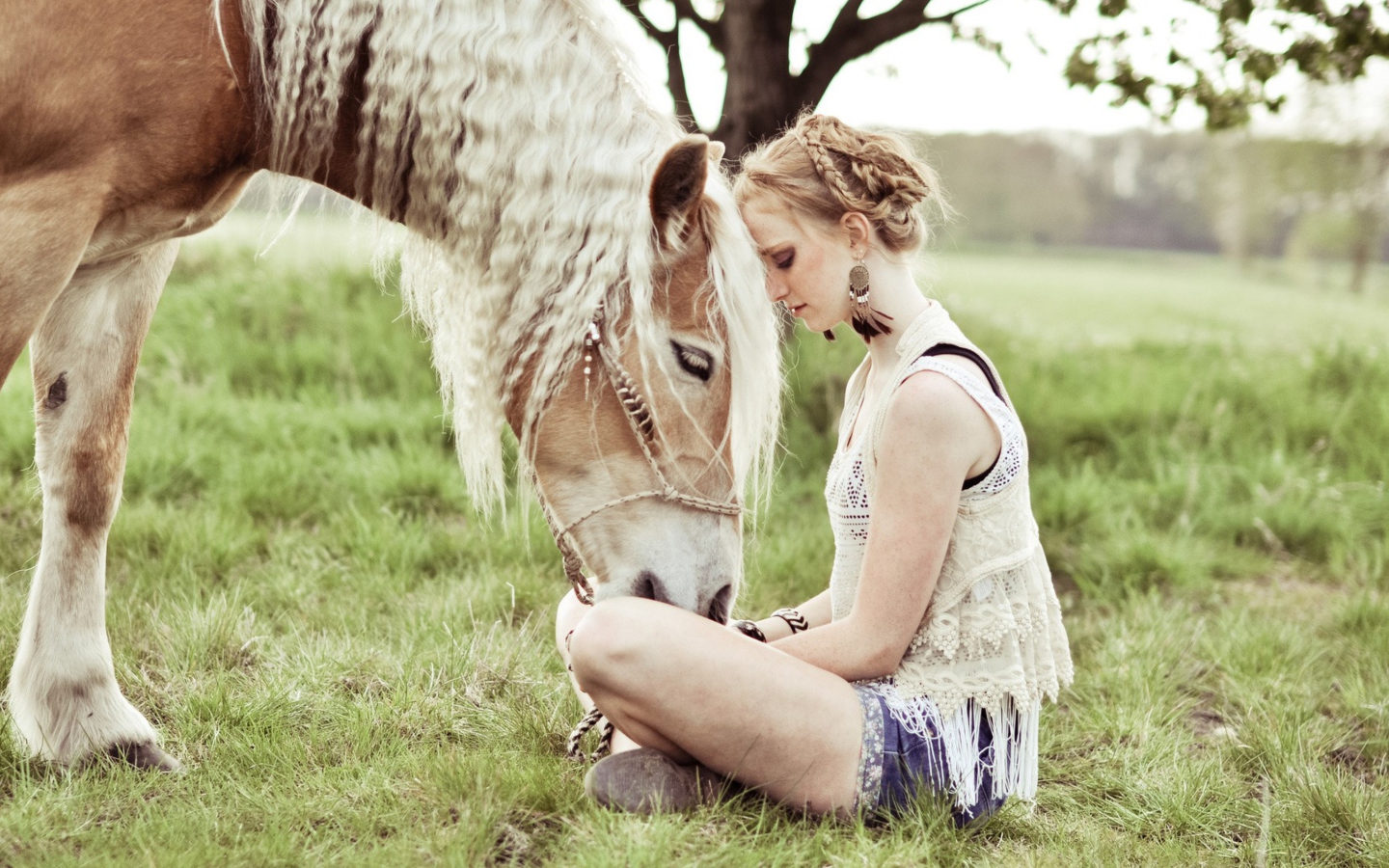 Fondo de pantalla Blonde Girl And Her Horse 1440x900