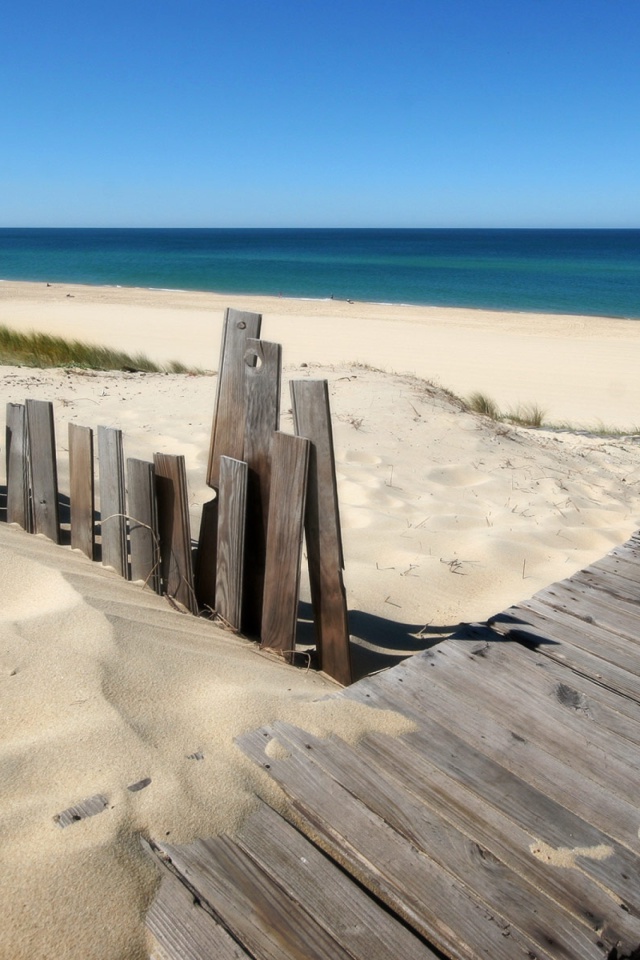 Beach Dunes in Northwest Indiana screenshot #1 640x960