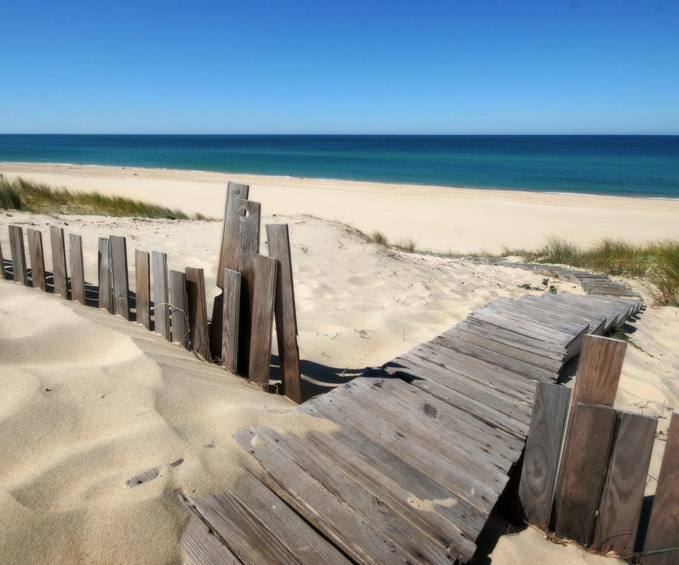 Screenshot №1 pro téma Beach Dunes in Northwest Indiana 960x800