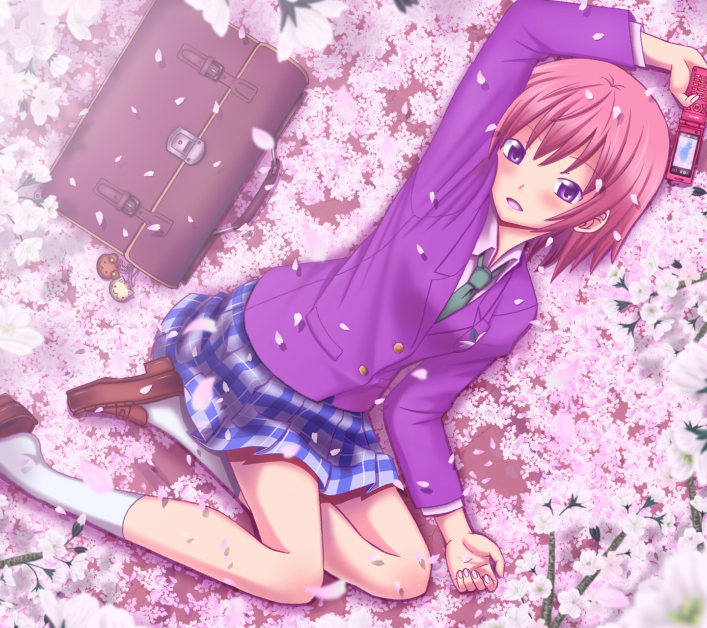 Das Anime Sakura Wallpaper 1440x1280