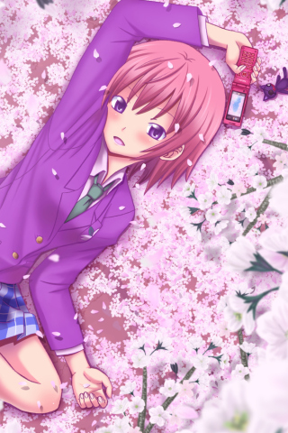 Das Anime Sakura Wallpaper 320x480