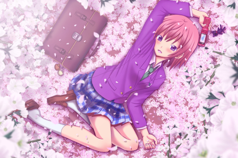 Das Anime Sakura Wallpaper 480x320