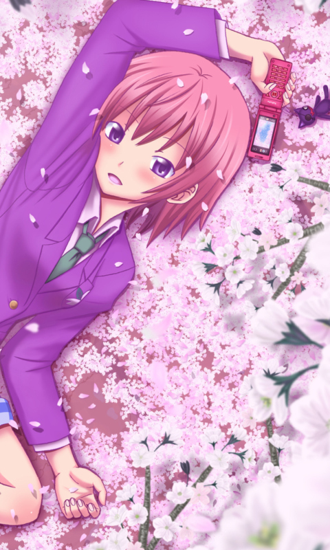 Das Anime Sakura Wallpaper 480x800