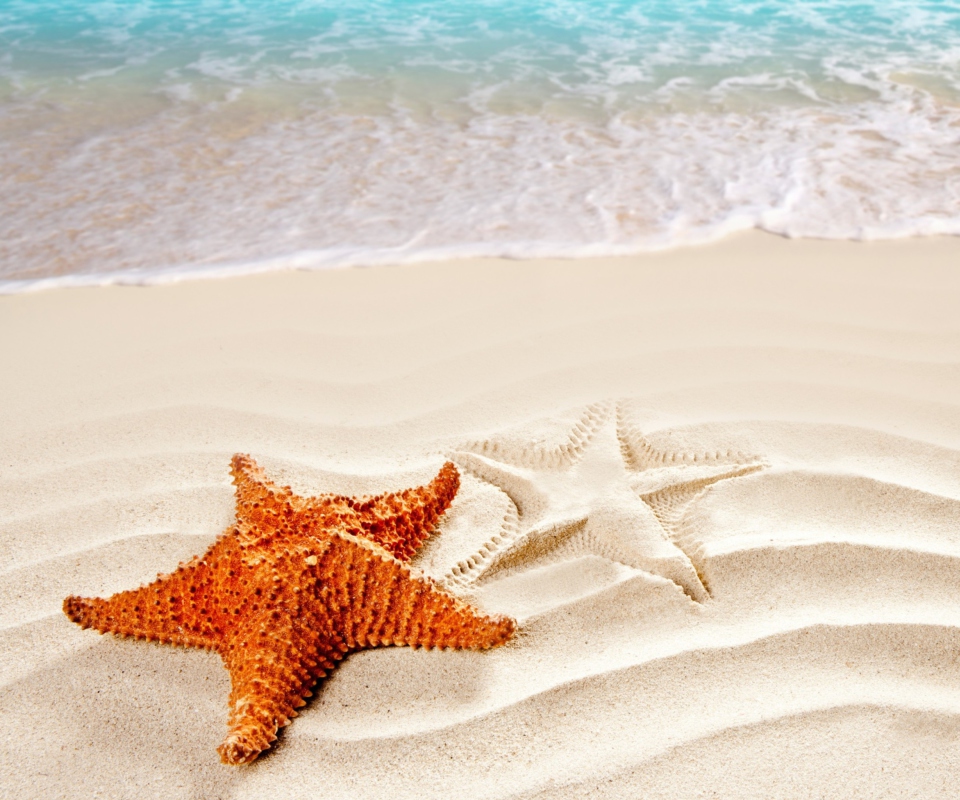 Cool Sea Star wallpaper 960x800