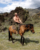 Das Vladimir Putin President Wallpaper 128x160