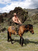 Das Vladimir Putin President Wallpaper 132x176