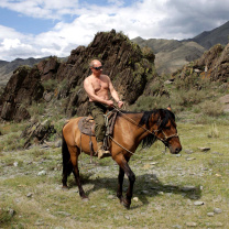 Das Vladimir Putin President Wallpaper 208x208