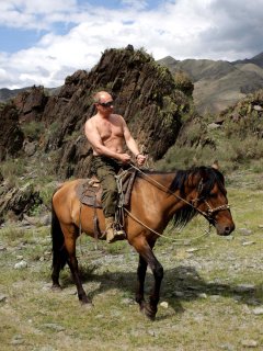 Das Vladimir Putin President Wallpaper 240x320