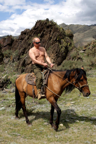 Das Vladimir Putin President Wallpaper 320x480