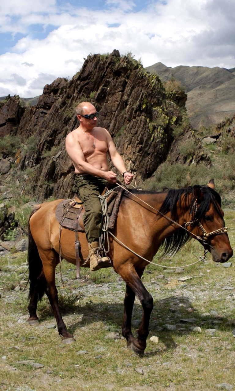 Sfondi Vladimir Putin President 768x1280