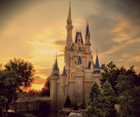 Vintage Castle wallpaper 480x400