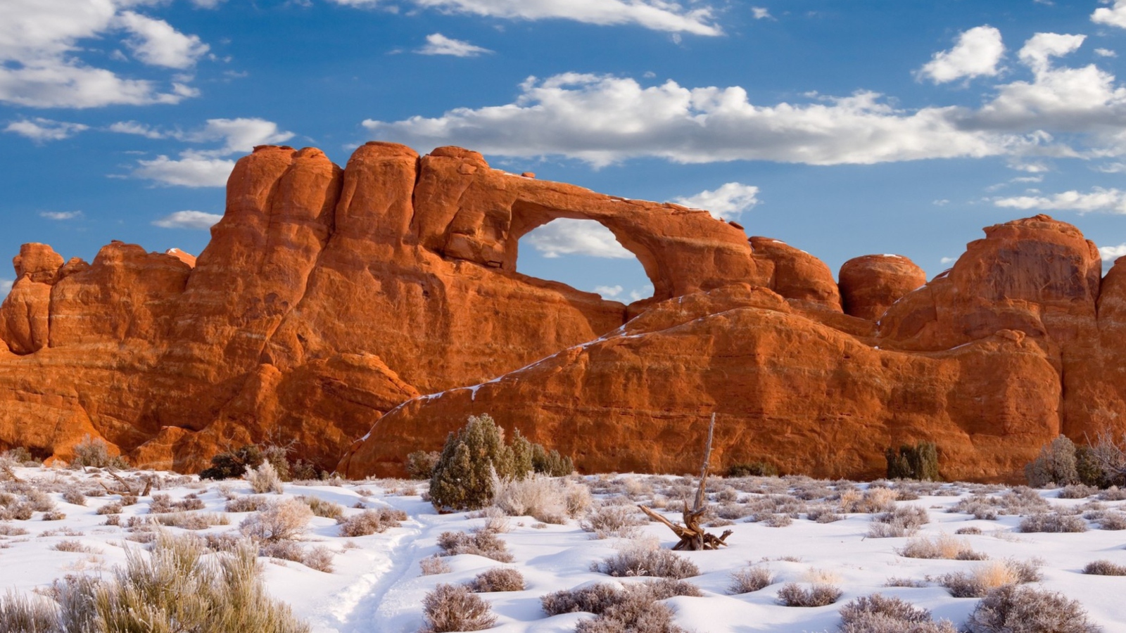 Red Canyon And Snow wallpaper 1600x900