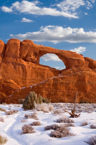 Das Red Canyon And Snow Wallpaper 320x480