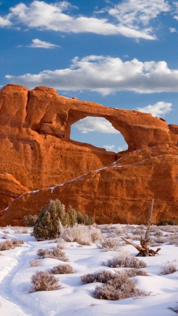 Red Canyon And Snow wallpaper 360x640