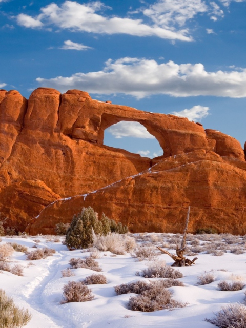 Das Red Canyon And Snow Wallpaper 480x640