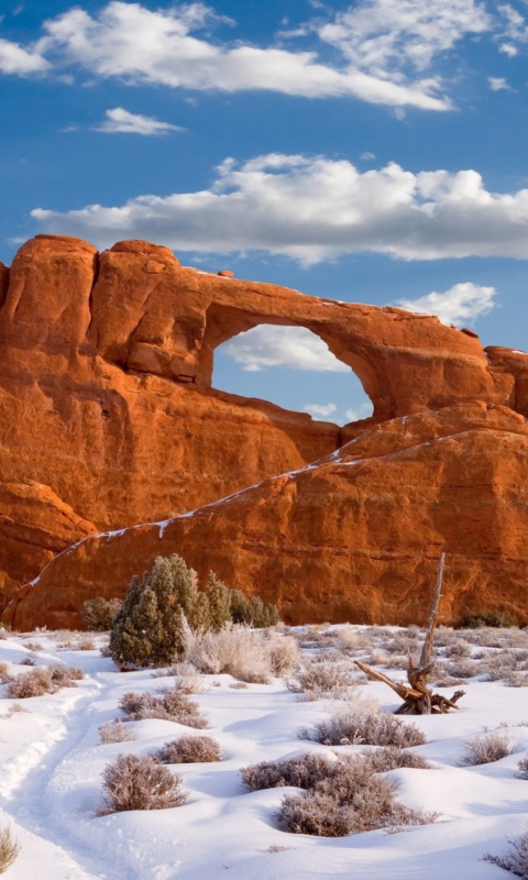 Red Canyon And Snow wallpaper 480x800