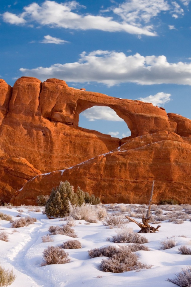 Red Canyon And Snow wallpaper 640x960