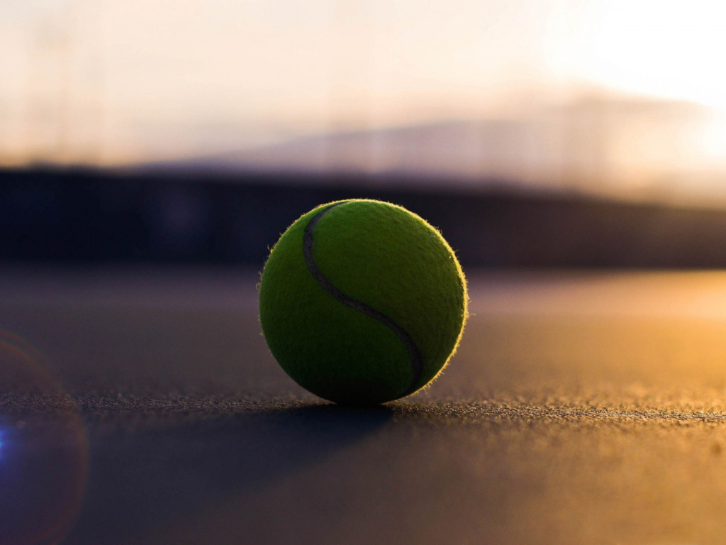 Обои Tennis Ball 1024x768
