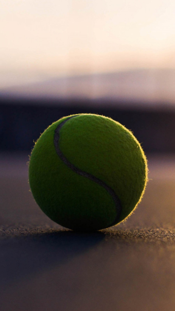 Обои Tennis Ball 360x640