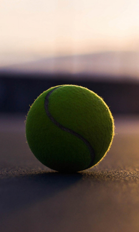 Fondo de pantalla Tennis Ball 480x800