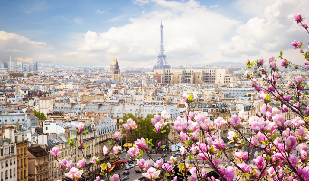 Paris Sakura Location for Instagram screenshot #1 1024x600