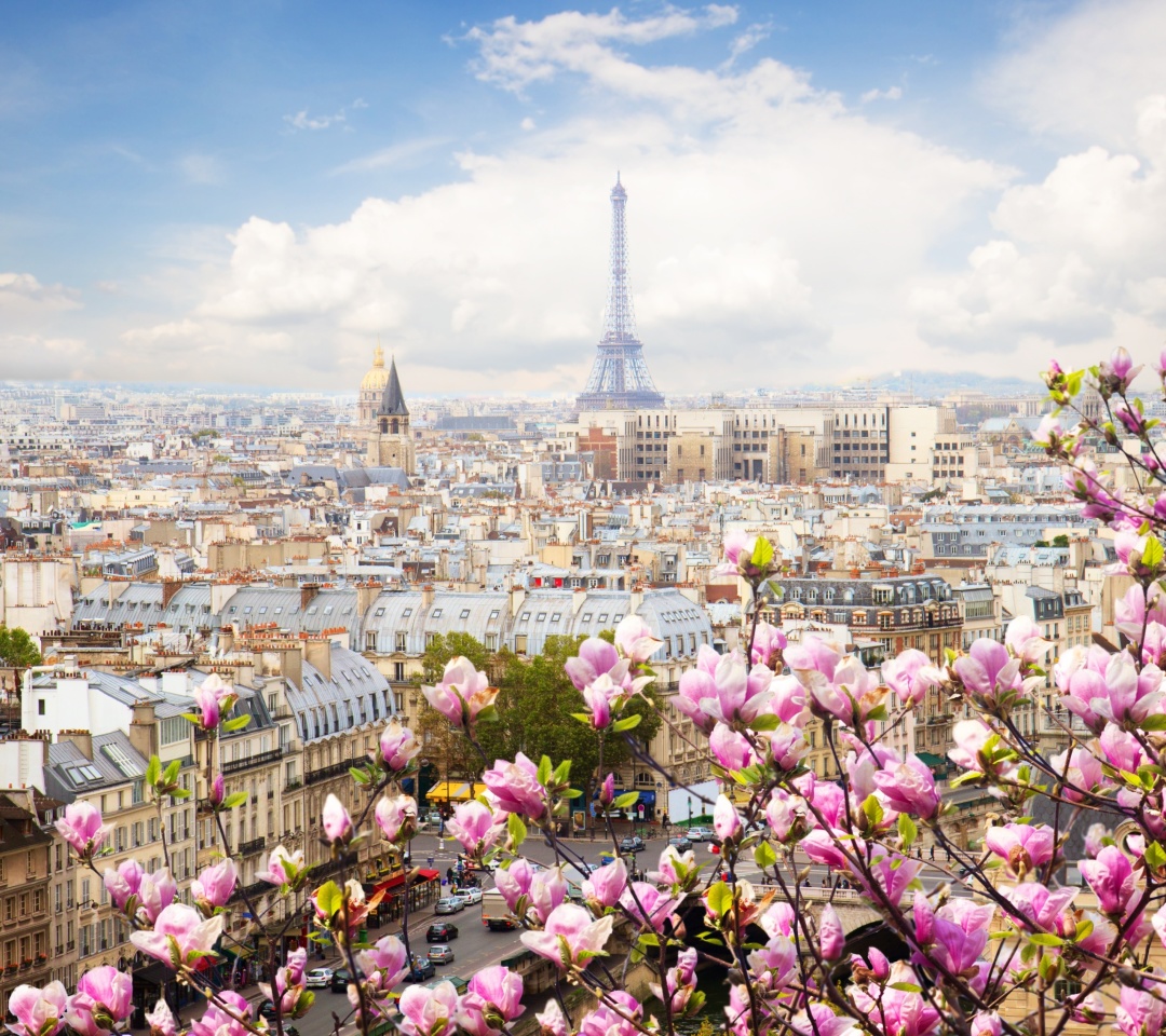 Sfondi Paris Sakura Location for Instagram 1080x960