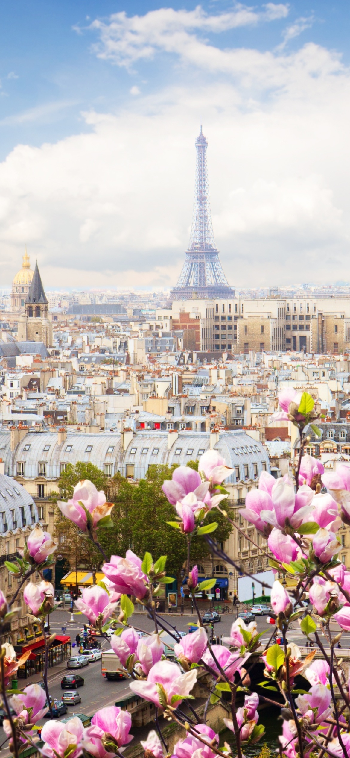 Paris Sakura Location for Instagram wallpaper 1170x2532