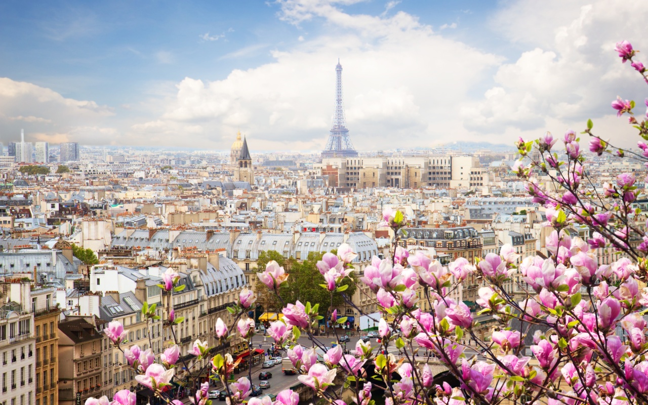 Fondo de pantalla Paris Sakura Location for Instagram 1280x800