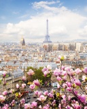 Fondo de pantalla Paris Sakura Location for Instagram 128x160