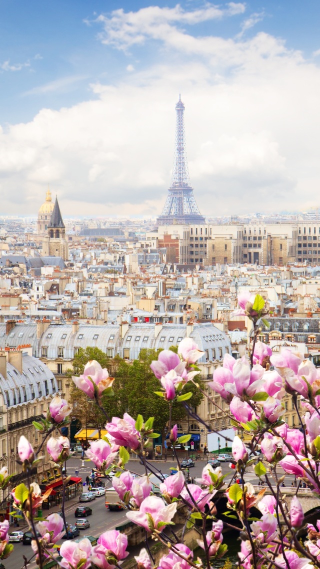 Sfondi Paris Sakura Location for Instagram 640x1136
