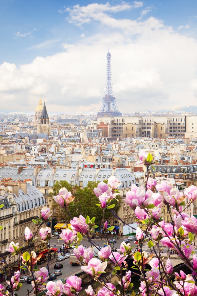 Fondo de pantalla Paris Sakura Location for Instagram 640x960