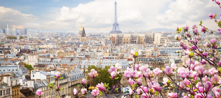 Sfondi Paris Sakura Location for Instagram 720x320