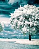 Infrared Trees wallpaper 128x160