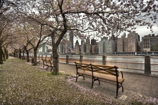Roosevelt Island, New York Background for Android, iPhone and iPad