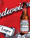 Fondo de pantalla Budweiser Lager Beer Brand 128x160