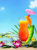 Tropical Cocktails wallpaper 132x176