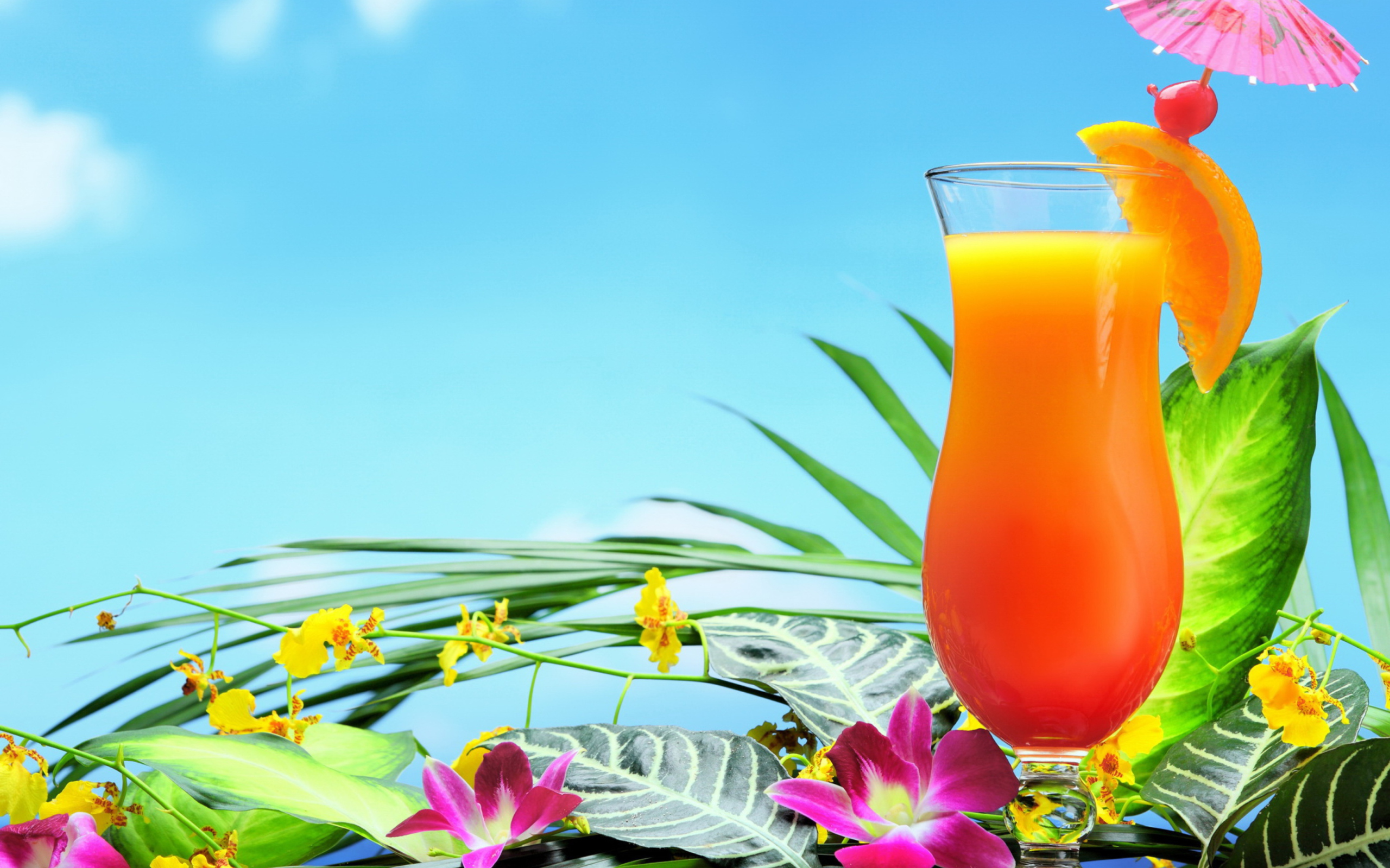 Tropical Cocktails screenshot #1 2560x1600