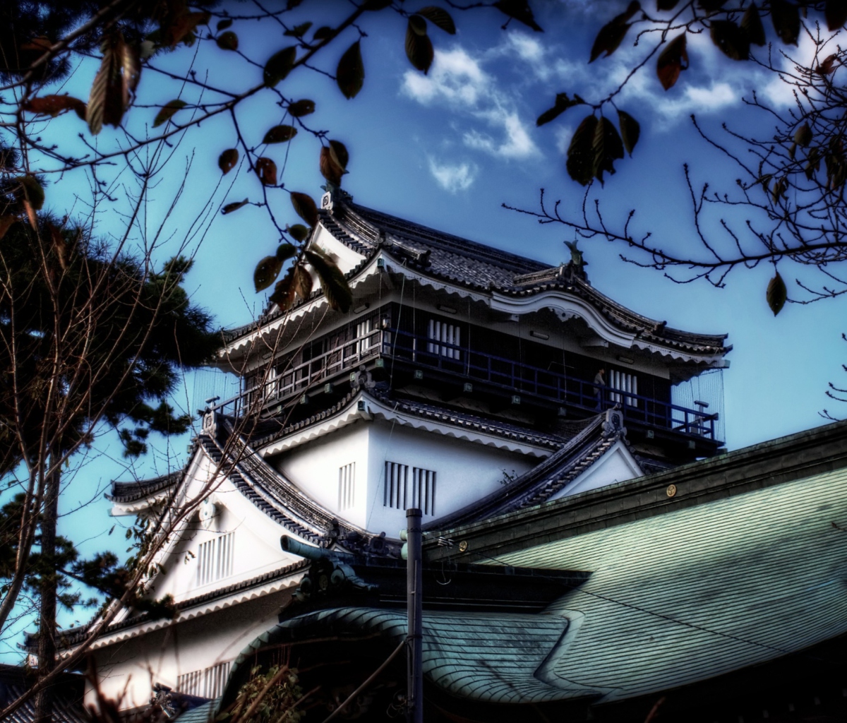 Fondo de pantalla Okazaki Castle 1200x1024