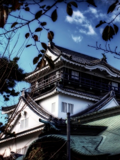Das Okazaki Castle Wallpaper 240x320