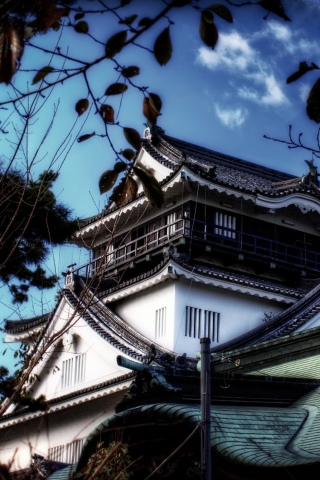 Okazaki Castle screenshot #1 320x480