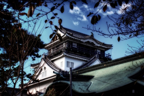 Okazaki Castle wallpaper 480x320